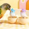 Anti Spill Bird Food Bowl Large Capacity Pet Feeding Cup Practical Food Water Dish  Small Pet Bird