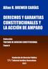 Buch Derechos Y Garantias Constitucionales Y La Accion De Amparo. Tomo X. Coleccion Tratado De Derecho Constitucional