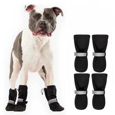 Ropa y calzado – Zapatos para perros