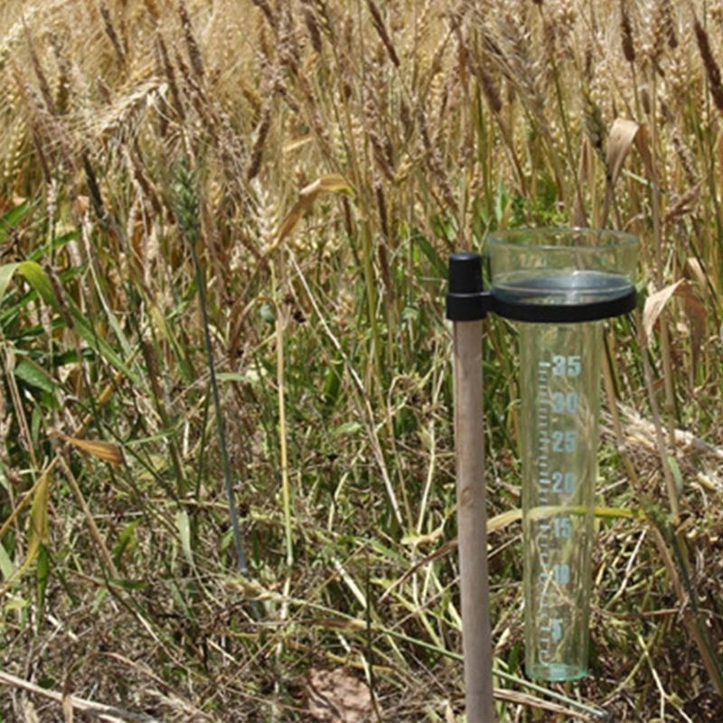 

Plastic Rain Gauge Tube Accurate Measurement Plastic Rain Gauge Tube Accurate Measurement Garden Outdoor Yard 35mm CN