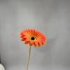 10pcs PU Gerbera Daisies Artificial Flowers Fake Sunflower Stems for Floral Arrangement