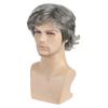 Men Synthetic Short Black Gray Wigs with Bangs Layered Wave Grey Hair for Daily Party Cosplay Heat Resistant Fibre