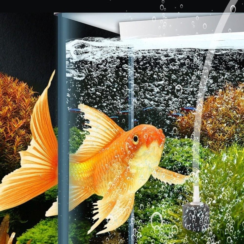 USB Rechargeable Fishing Oxygen Pump Energy Efficient 2/4 Holes Fish Tank Aerator Real-time Power Display Aquarium Air Pump