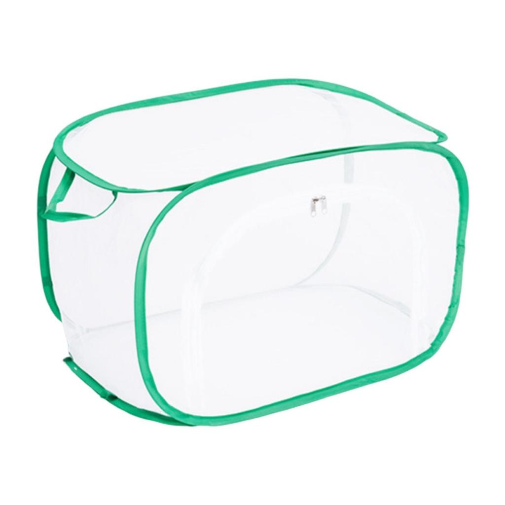 Butterfly Catching Cage Feeding Net W/ Handle Multi Use Protection Cover