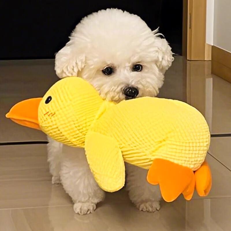Hoopet Squeaky Plush Yellow Duck Dog Toy