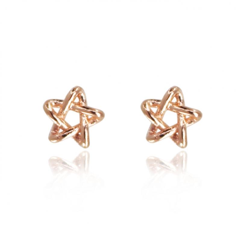 RookieStar 14k Mini Star Earrings R1rreg003