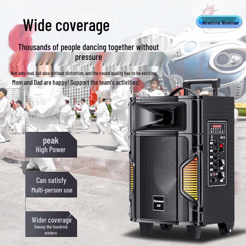 Newman A8 Pro 8-inch Wireless Bluetooth Trolley Speaker