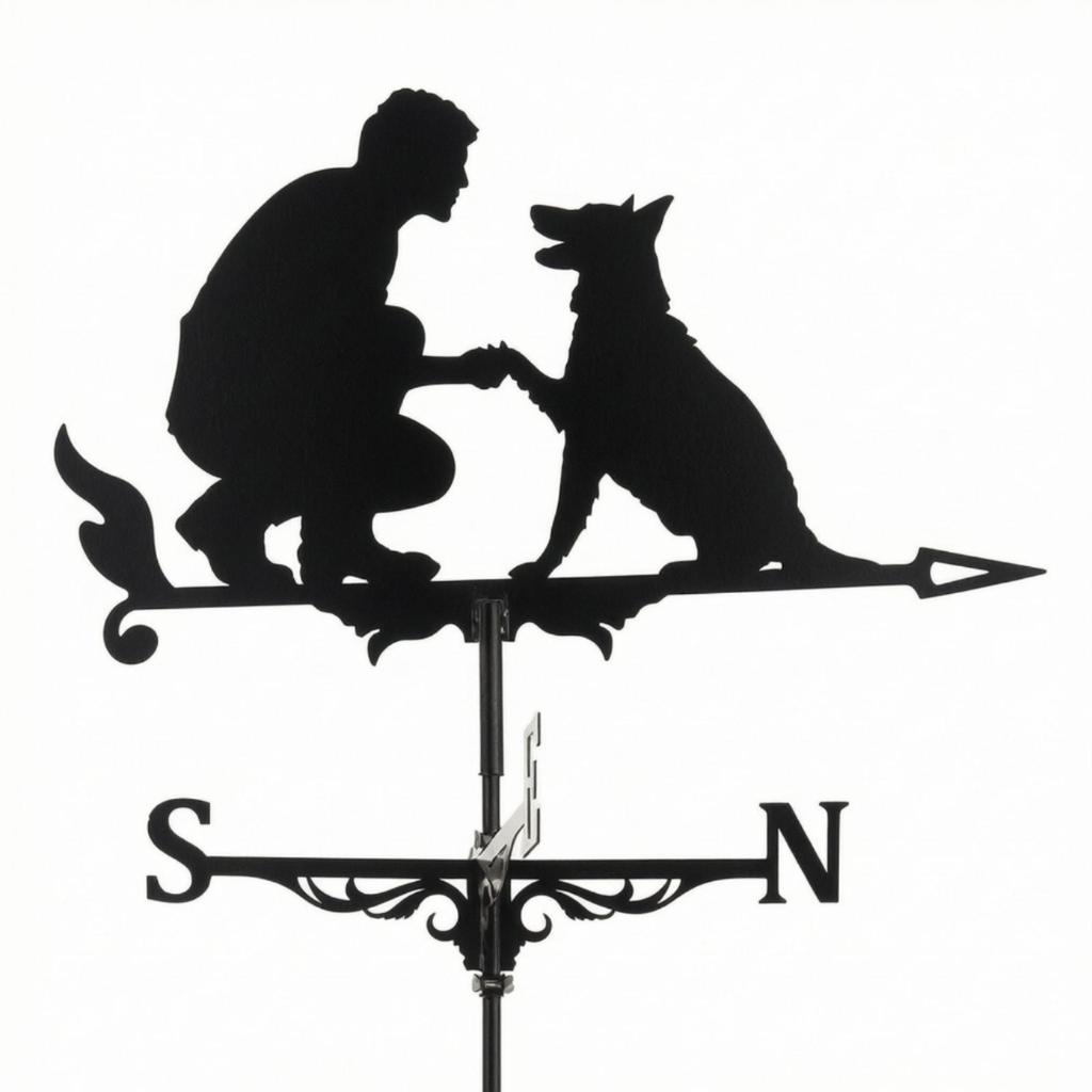 Metal Weather Vane Spray Painted Finish Wind Direction Indicator European Style Garden for