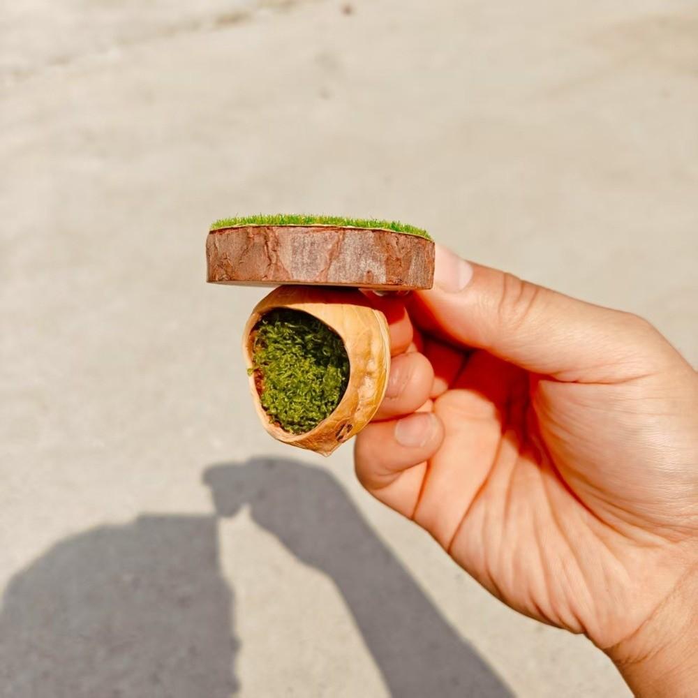 Hanging Jumping Spider Hideout Magnetic Install Insect Hide House Small Pet Supplies