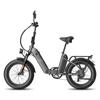FAFREES FF20 Polar Electric Bicycle 500W Motor, 48V 26.8Ah Batter, 100KM Range, 20*4.0 Inch Fat Tires E-Bike