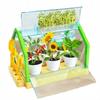 Kit Educativo Serra Sperimentale Mini Giardino Fiori Veri da Coltivare