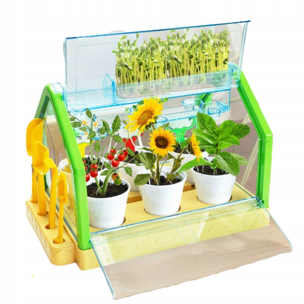 Kit Educativo Serra Sperimentale Mini Giardino Fiori Veri da Coltivare