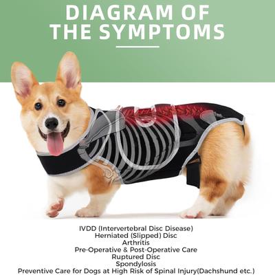 Suport Puternic Orteza Câine pentru Disc Intervertebral Pentru Disc Intervertebral