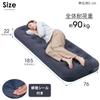 Iris Ohyama Air Bed with Pump, Ideal for Disaster Preparedness, Car Camping, Evacuation, and Camping, ABD-1NR