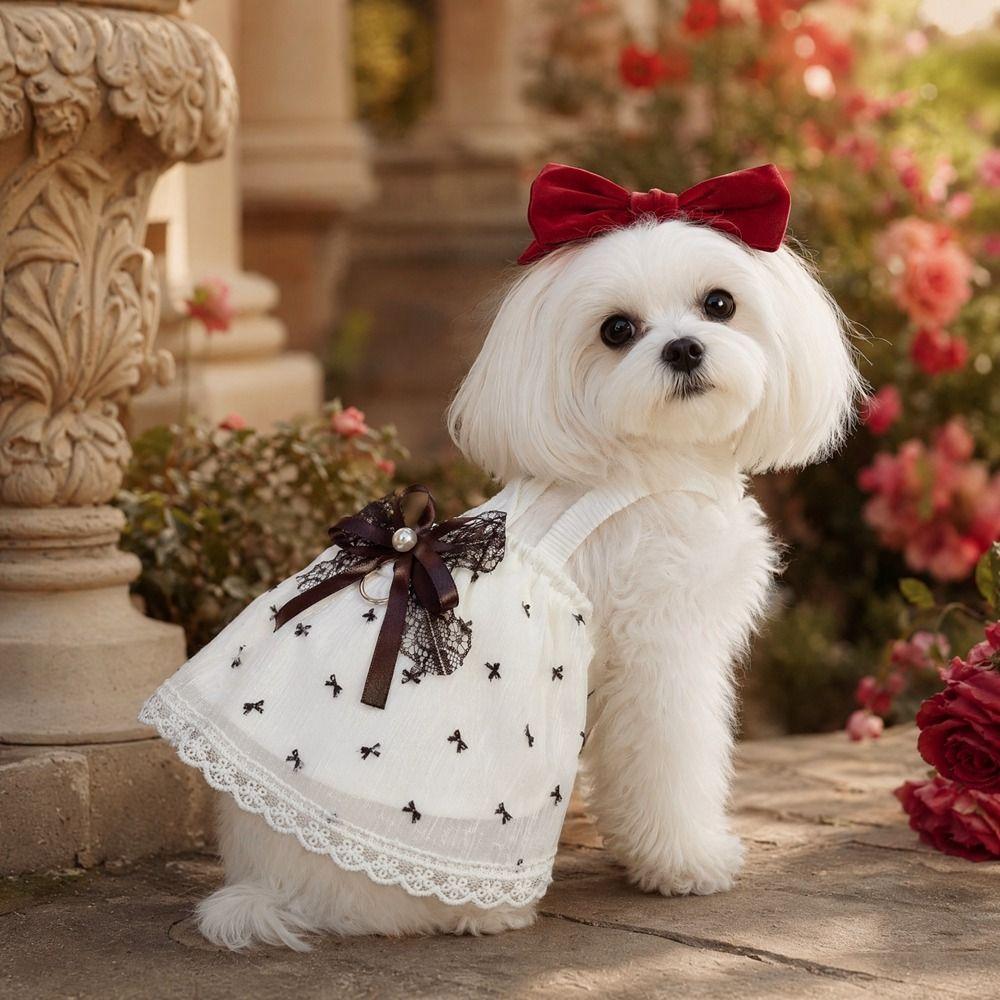 Breathable Pet Lace Bowknot Dress Lace Ruffle Hem Pet Tank Dress Pet Mesh Camisole Skirt  Party