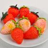 3D Strawberry Model: Red Strawberry & Cream Display Prop for Film, TV & Photography