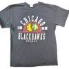 Chicago Blackhawks NHL Camisa Masculina Tamanho Médio Logo Preto EUA hóquei no gelo