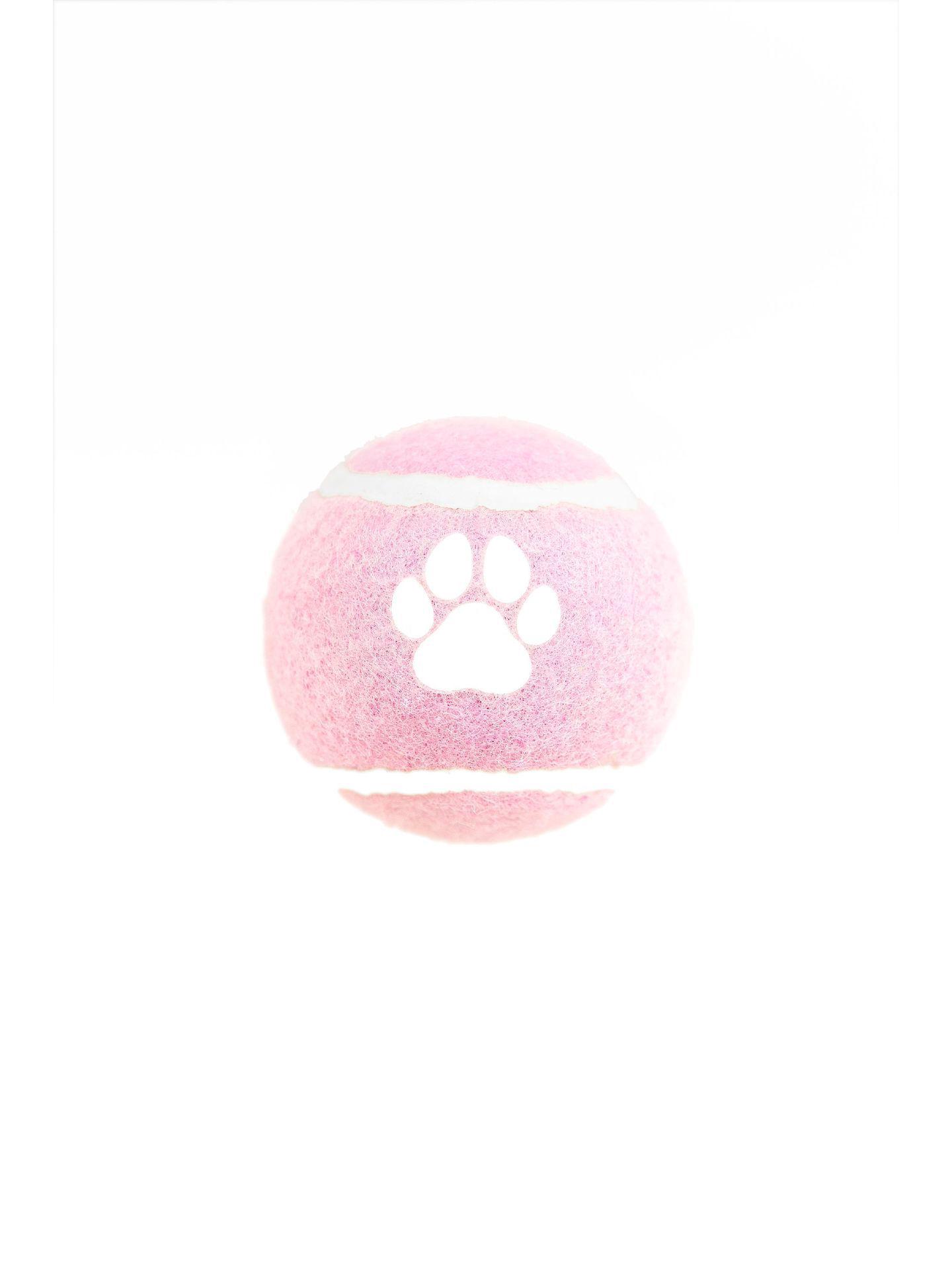 

Устойчивый к укусам питомец прыгающий мяч: Прочная игрушка для прорезывания зубов для маленьких, средних и крупных собак 6.3 cm