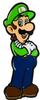 Ishikawa Toys Pins NEW Mario Pins Luigi