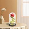 Eternal Rose LED Light Artificial Rose Flowers Aesthetic Preserved Rose in Glass Cover Simulation Rose for Wedding Anniversary