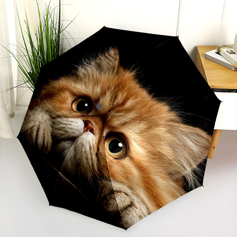 Persian Cat pattern, automatic folding umbrella, portable and foldable design, 8 ribs, a Christmas or birthday gift.