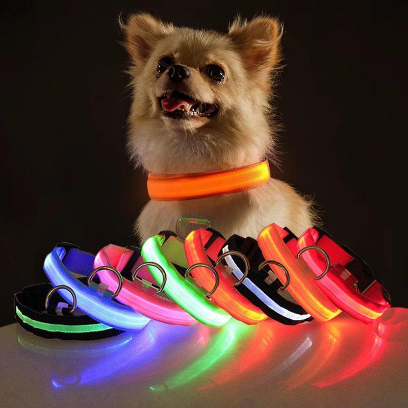 LED Glowing USB Rechargeable Pet Collar for Dogs and Cats - Night Light with Decorations for All Sizes