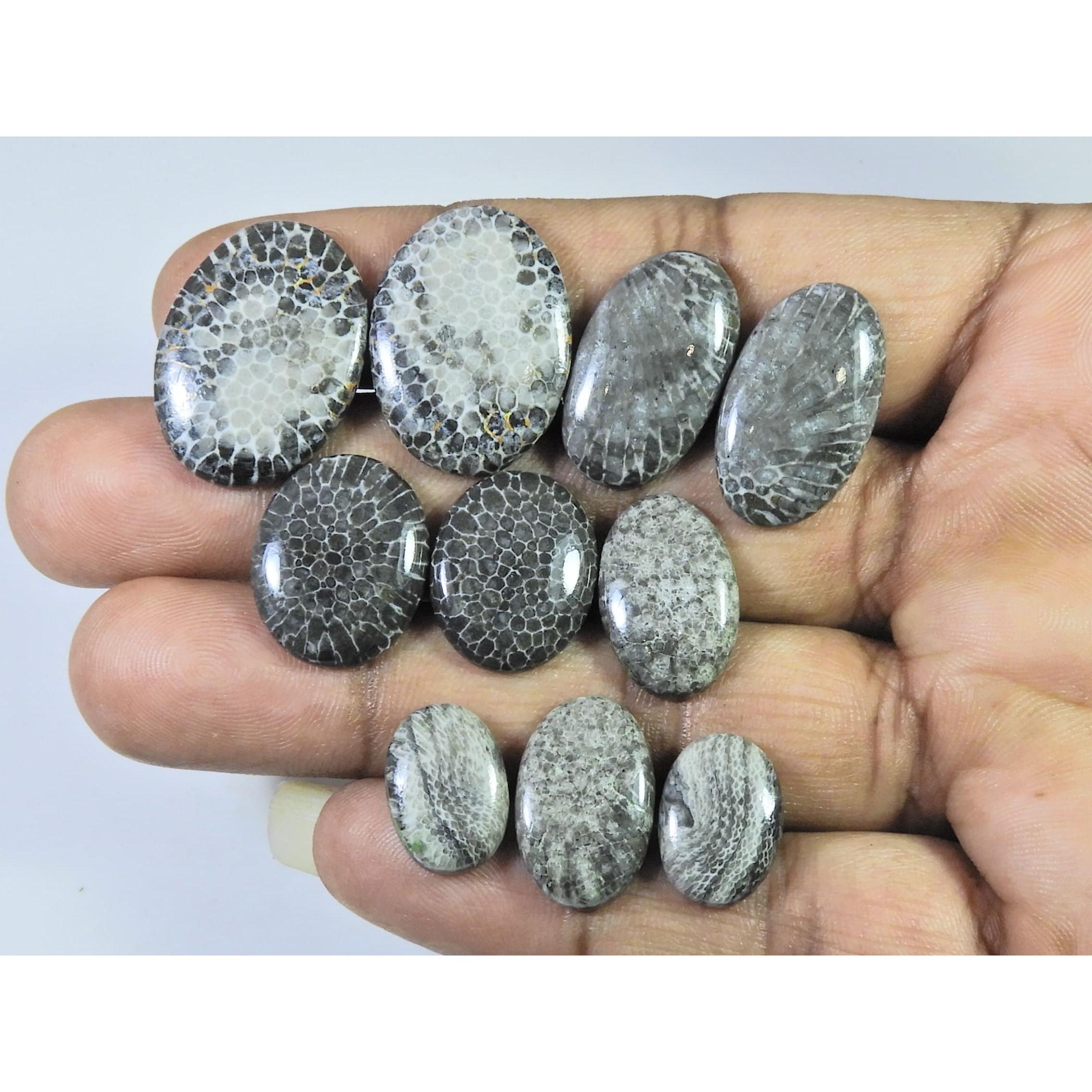 Natural Black Fossil Coral Matched Pair Oval Cabochon Gemstone 5 Pair Lot C-1856