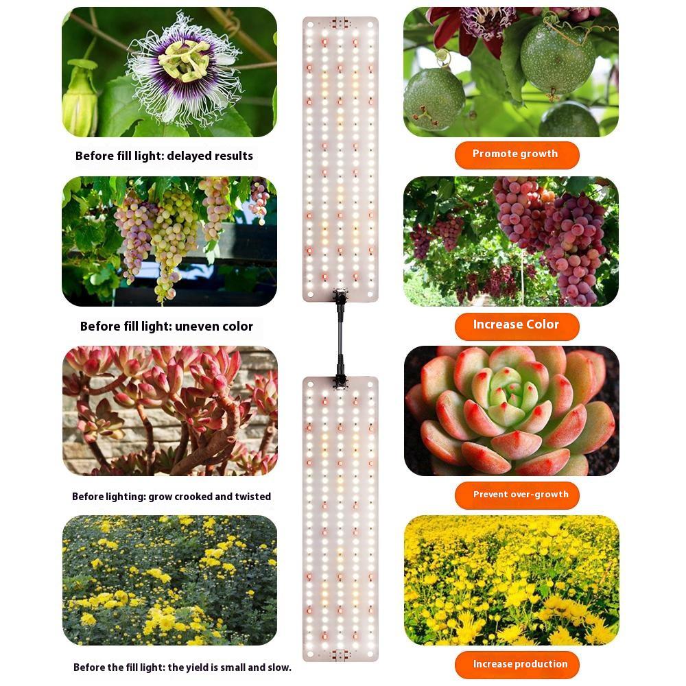 12V 3-Panel Plant Growing Light Plant Shelf Seedling Growth Fill Light,EU Plug