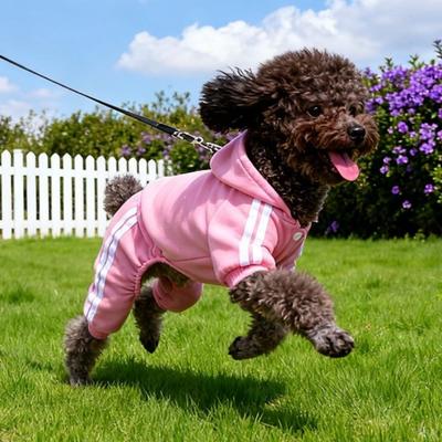 Giyim ve ayakkabı – Köpekler İçin Kapşonlu Kazaklar