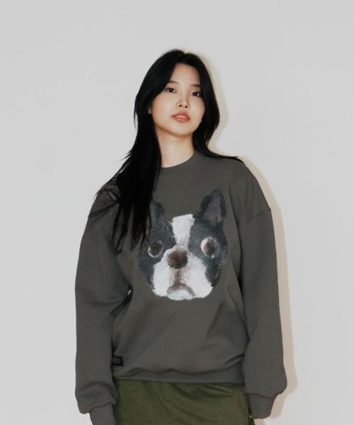 GROUNDWORK Dog Sweatshirt / Charcoal