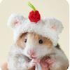 Fashion Woolen Plush Hat Mini Pet Supplies Animal Doll Hat  for Hamster Golden Silk Bear