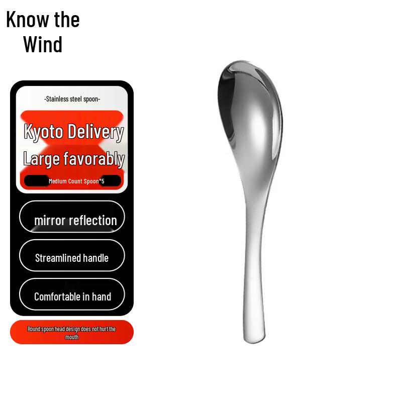 Stainless Steel Stirring Spoon