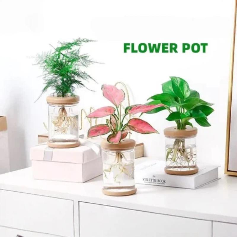 Automatic Water Absorption Plant Propagation Pot Nordic Style Plastic Hydroponic Vase for Office Desk Green Decor