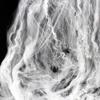 Haunted House Halloween Spider Web and Silk Decorations with Spiders