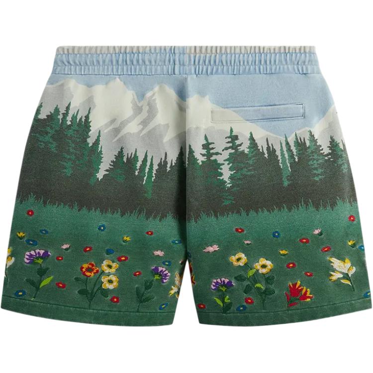 Kith Scenic Fleece Curtis Short Larimar Unisex Bottoms Multi-Color KHM060448-464