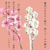 [Miaomyao] Kanzashi Hairpin, Single Hair Ornament, for Yukata, Kimono, Formal Kimono, Hair Accessory, Pearl, Antique, Flower, Cherry Blossom, Miao
