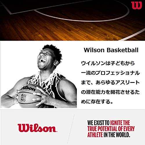 Wilson Basketball Hoop NBA TEAM MINI HOOP WASHINGTON WIZARDS (NBA Team Mini Hoop Washington Wizards) Unisex Adult WTBA1302WAS Board Width: 28.5cm x He