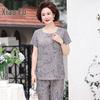 Women's Plus Size Summer Short-Sleeve Two-Piece Set