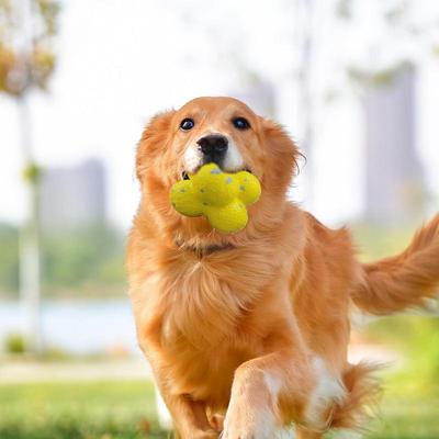 Chew Balls For Dogs Pet Tooth Chewing Pop Corn Ball Toy Bouncy Dog Chewing Toy For Small Medium And Large Dog Interactive Dog To