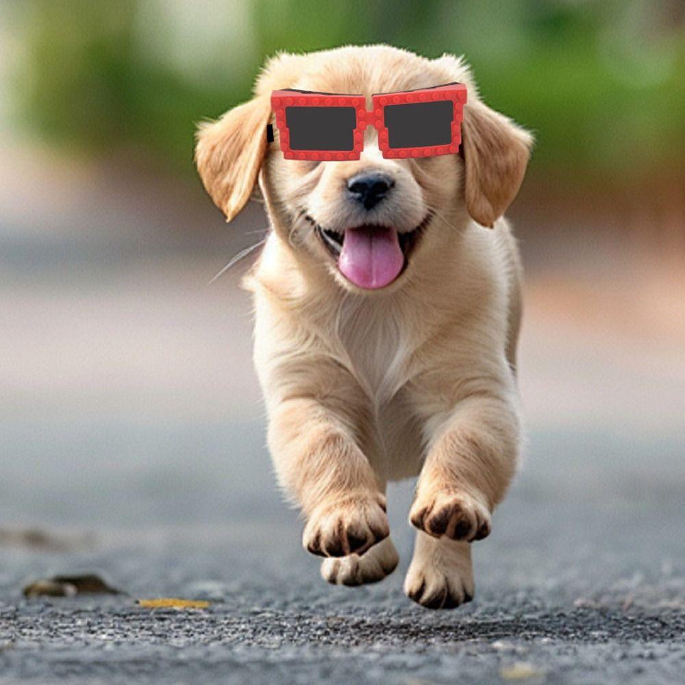 

Building Block Pet Sunglasses Breathable Windproof Dog Glasses Protective Eyewear Gift Giving білий