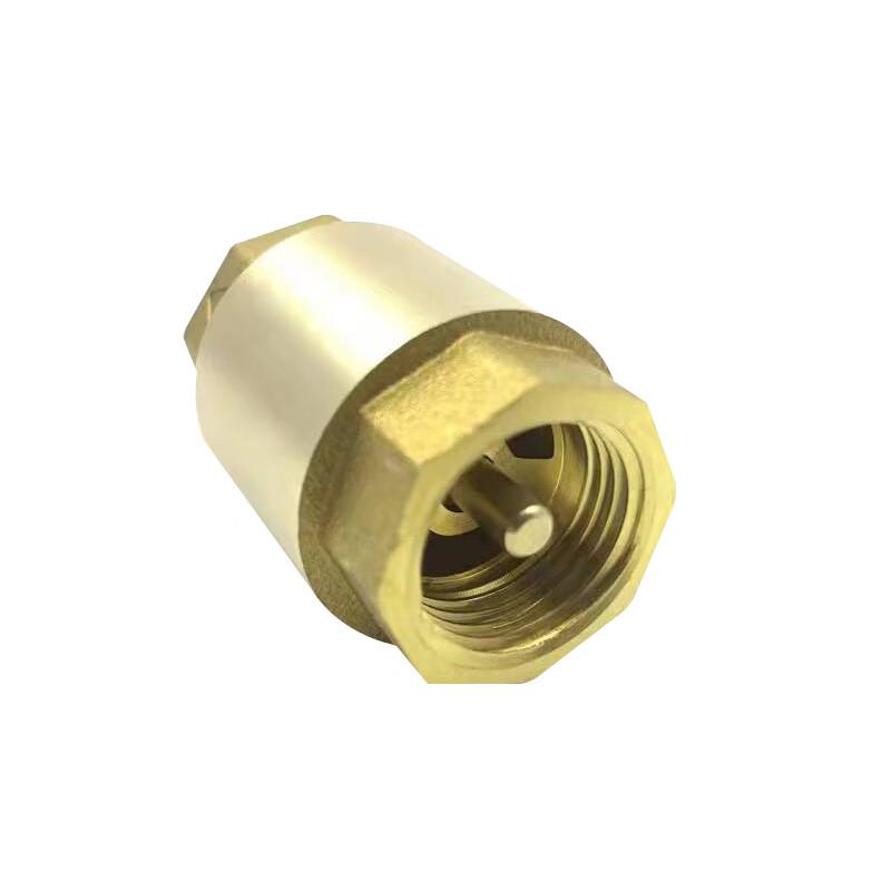 Water Meter Vertical Check Valve