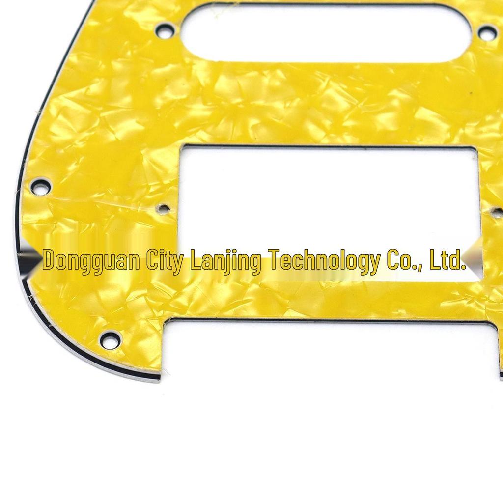 Double Electric Guitar Pickguard with Front Cover for ST SQ
