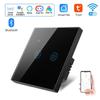Graffiti Tuya EU Smart WiFi Touch Wall Switch with Alexa Voice Control