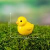 7-style Micro Landscape Simulation Owl Ornaments Resin Crafts Cute Owl Miniatures Cartoon Mini Owl Ornaments Outdoor