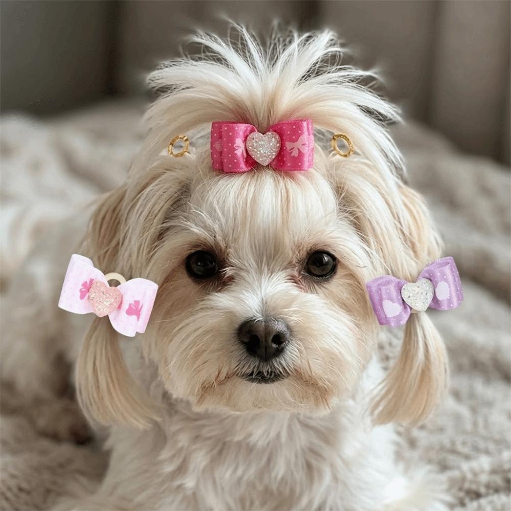 15Pcs Rainbow Ribbon Pet Bow Hair Bows Gradient Tone Gradient Ribbon Bow  Pet Hair Arrangement