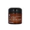 All In One Snail Repair Cream 75ml