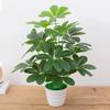 Green Aloes Artificial Wealthy Leaves Without Pot Green Plants Fake Flower Living Room Decoration Simulated Monstera Tree Plant