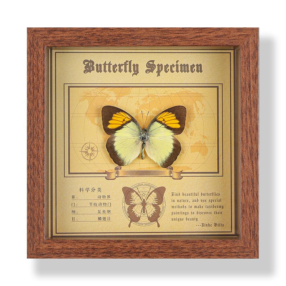Real butterfly specimen photo frame, decorative painting, 3D ornament, handmade DIY, birthday gift, insect specimen