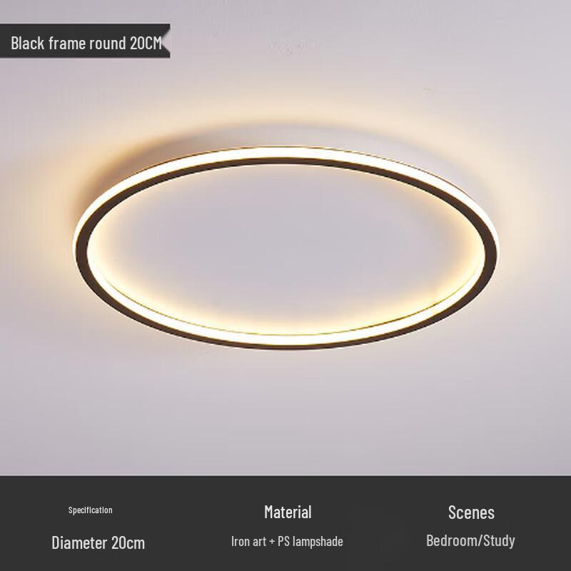 Modern Minimalist LED Ceiling Light