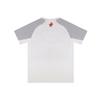 Li Ning T Shirt Unisex Light Gray ATSV955-2